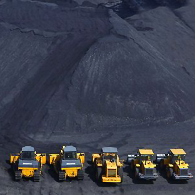  0.8-1.3cm（小米粒）